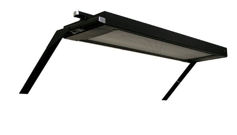 Overhead Dual Bulb Light and Frame for Basics Model